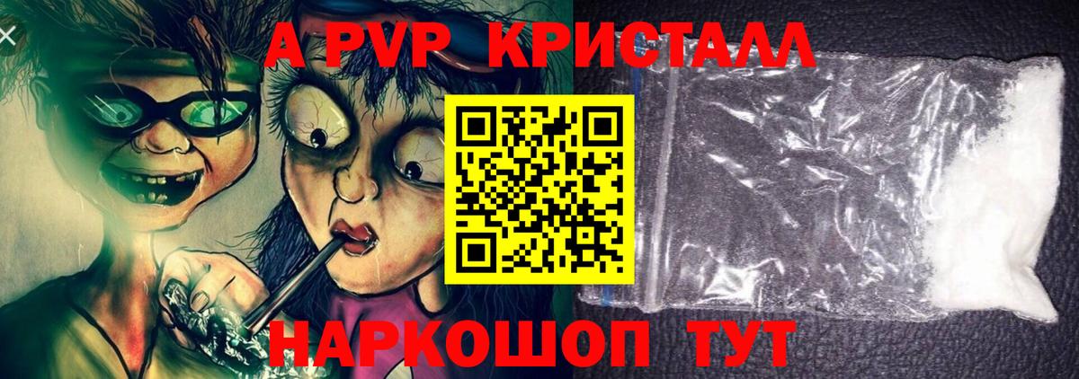 Альфа ПВП СК Шебекино