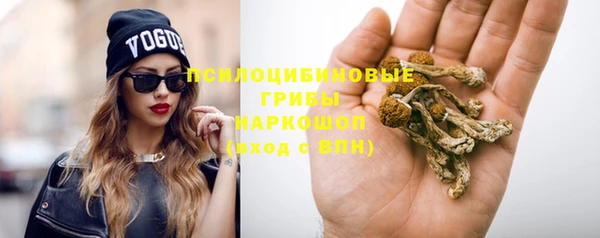 тгк Корсаков
