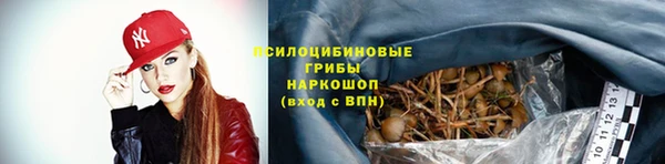 кокс Костерёво
