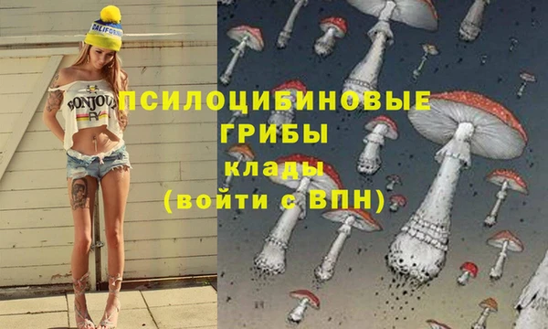 тгк Корсаков