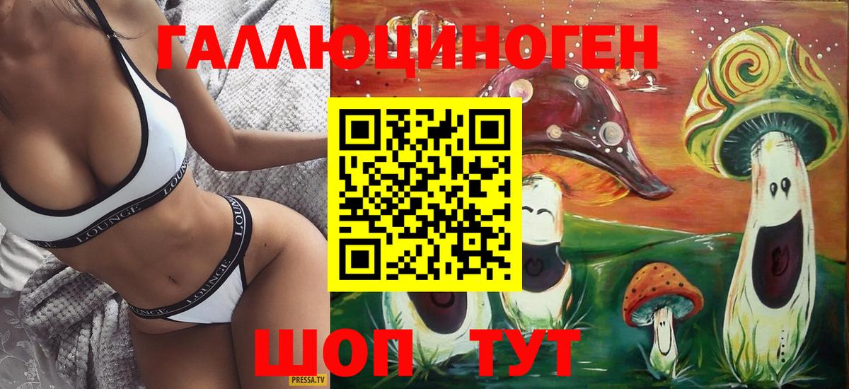 Псилоцибиновые грибы Cubensis  купить   Шебекино  Вход с VPN 