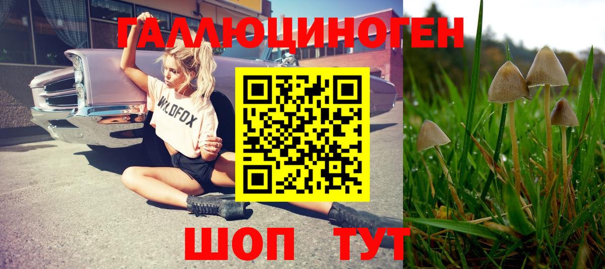 Псилоцибиновые грибы прущие грибы Шебекино