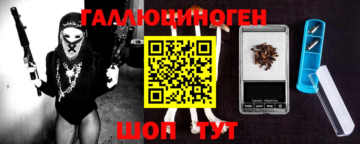 ТГК Шебекино