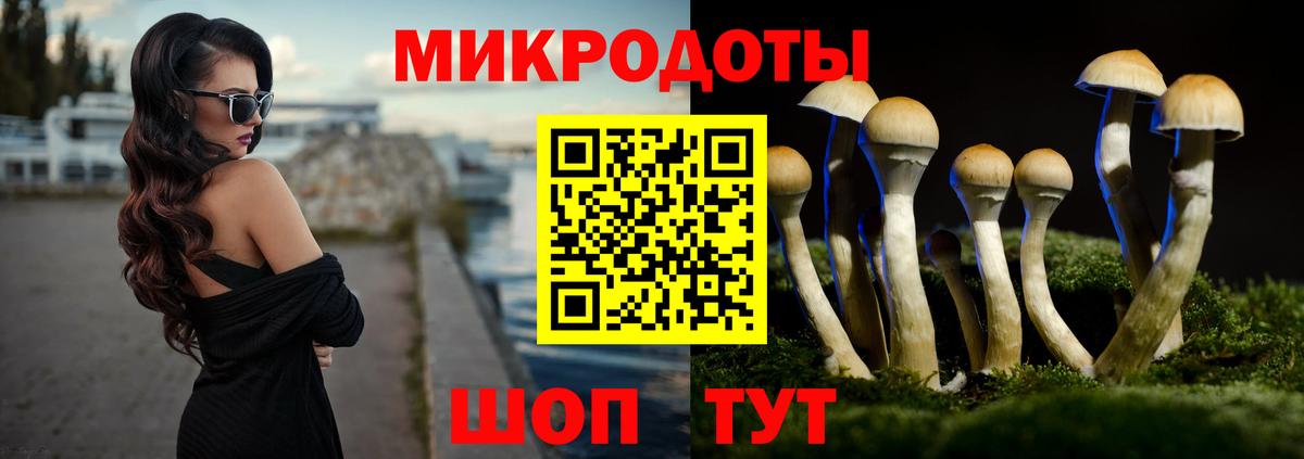 Псилоцибиновые грибы Magic Shrooms  Шебекино 