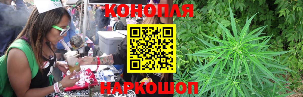 Каннабис сатива  Каннабис план  Шебекино  Каннабис ГИДРОПОН  Конопля Ganja  Вход с VPN 